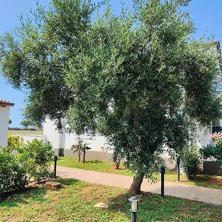 Sweet Sicily 4* Карини